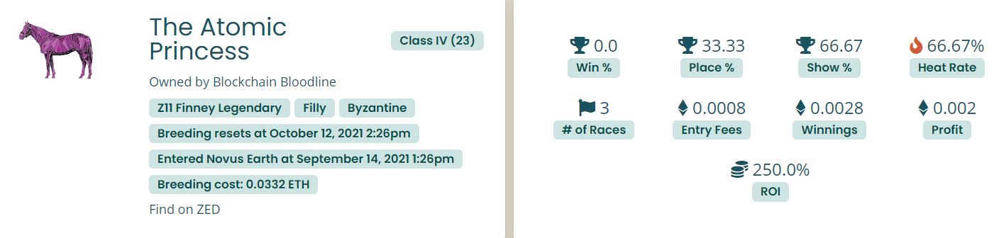 Zed Run breeding program Gambler