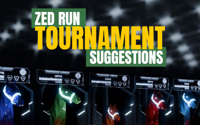 Zed Run tournament suggestions